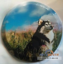 Бокс запасного колеса с виниловой наклейкой -3