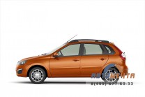 Рейлинги черные 