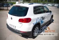 Защита бампера задняя на Volkswagen Tiguan, нерж