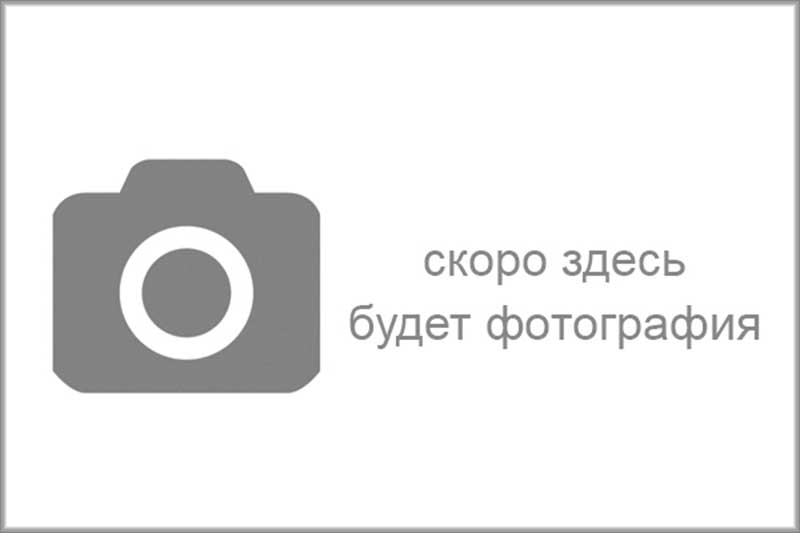 Молдинги задних дверей Лада Ларгус Молдинги задних дверей Лада Ларгус